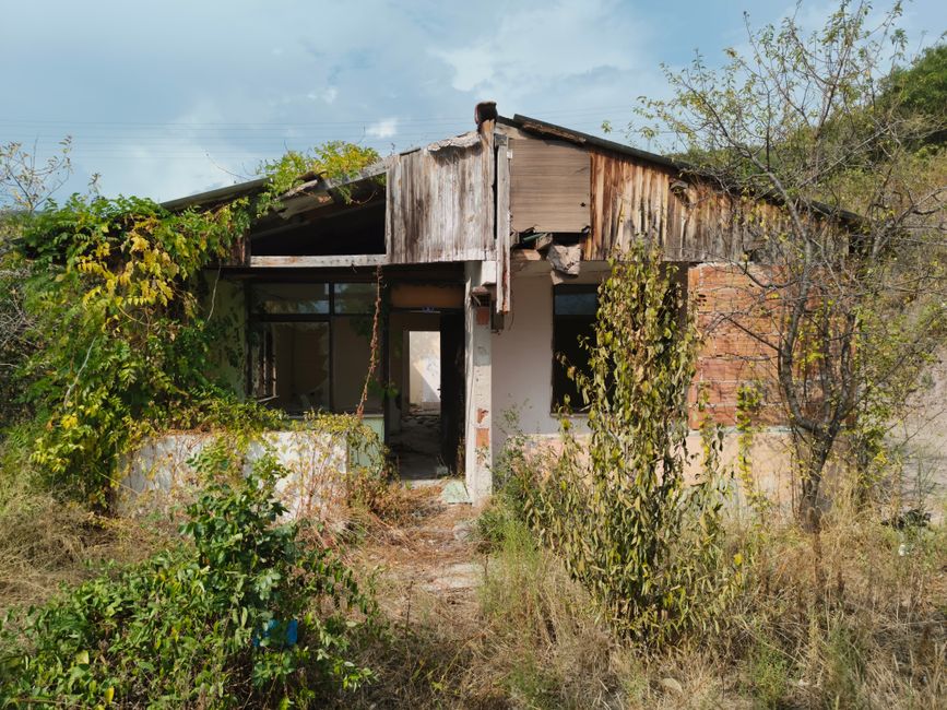 An abandoned rural house with trees growing around it